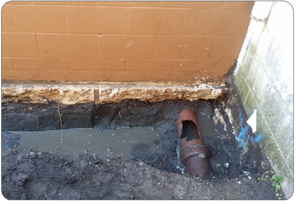 Charleston Leak Detection