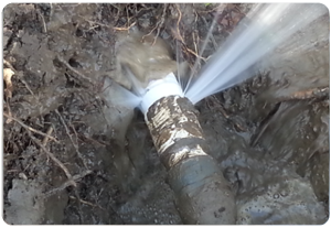 Water-Line-Leak